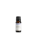 ZENGROWTH Organic Essential Oil Lavender Display including 12 bottles