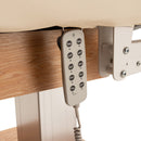 Kyoto electric massage table