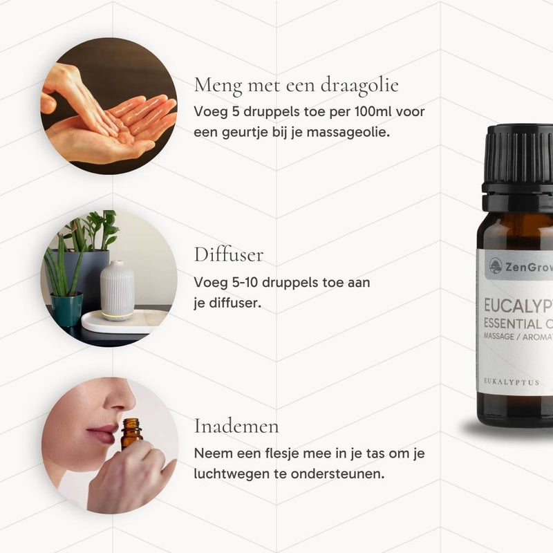 ZENGROWTH Organic Essential Oil Eucalyptus Display including 12 bottles